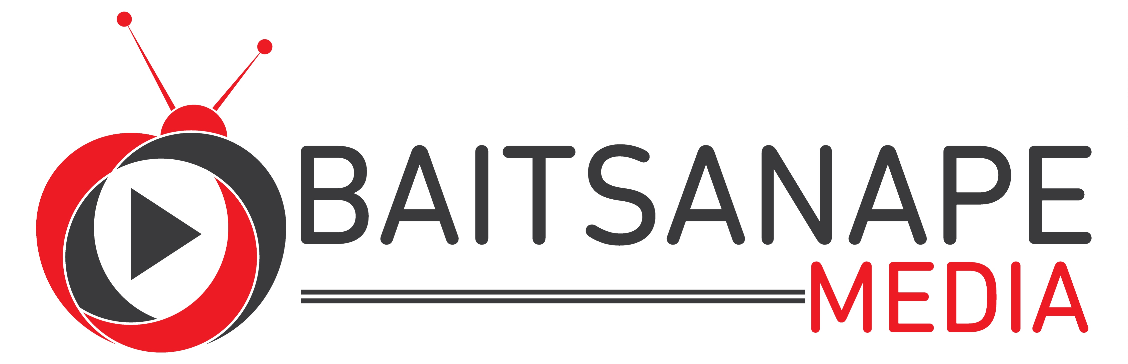 Baitsanape IT Company